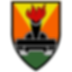 עוצבת הפלדה