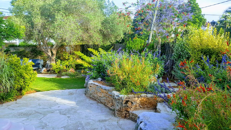 גינה של  דונם בבנימינה