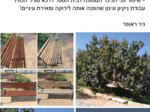 כותבים עלינו - מועצה מקומית ירוחם