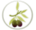 אוליב olive | קרם לחות לפנים אנטי אייג'ינג