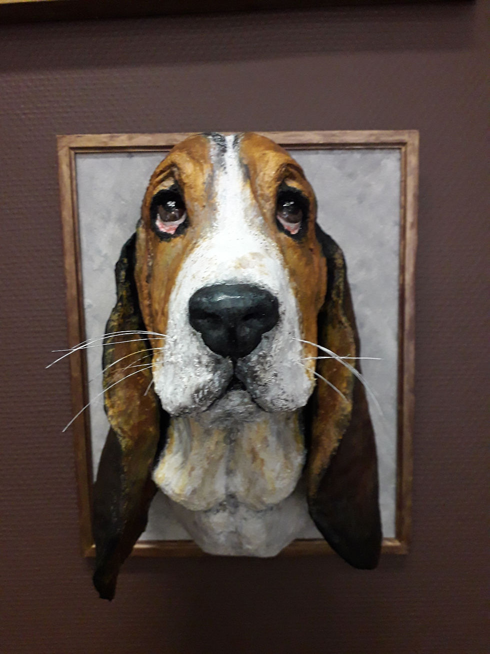Miniature : Basset artesien