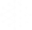 logo branco.png