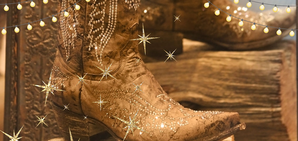 TMI Wild, Wild West Transforming Lives Gala