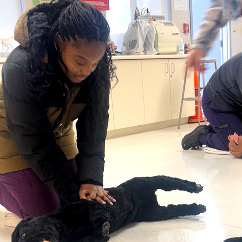 Aaliyah practicing CPR