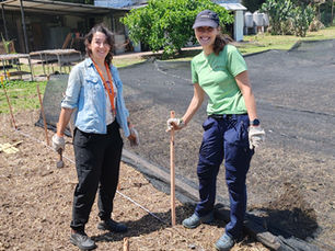 From Italy to Argentina researching Biostimulants for sustainable chickpea systems 