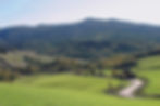 Berignone - Riserva Naturale.jpg