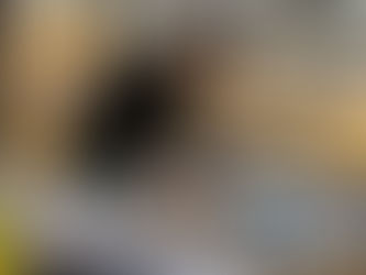 From Greece to France: competitive interactions and coexistence of weed species