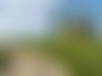 Resoconto attività 2025