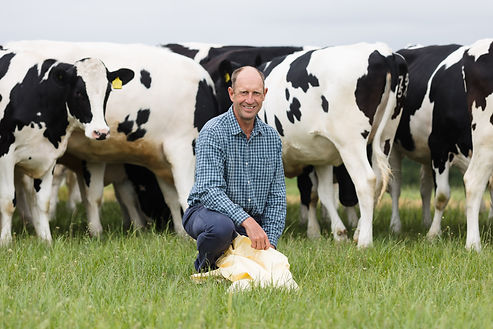 sainsburys-dairy-shoot-139.jpg