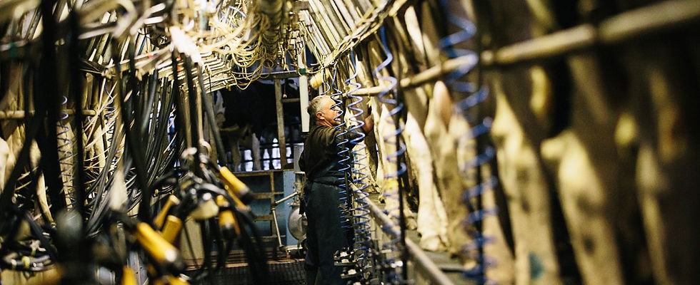 Meon Spring_Jamie Butler-4609 (Custom).jpg