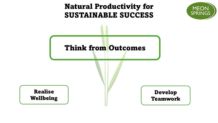 Meon Insights Business Model.jpg