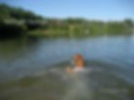 Izzy, Michigan Summer, cpyrt