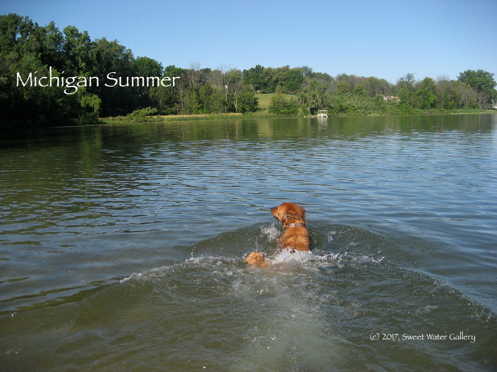 Izzy, Michigan Summer, cpyrt