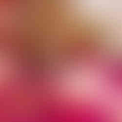 Bardot Lancaster, PA Hair