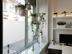 Nouveaux locaux arq_m