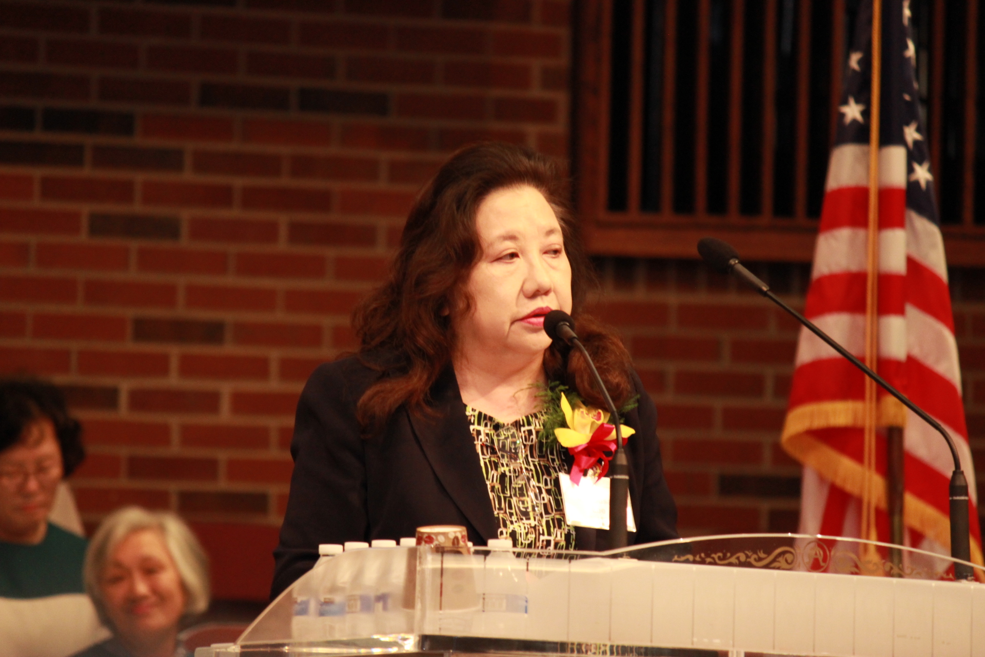 State Senate Susan Lee