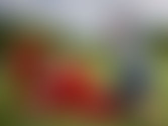 Starkovs uzvar divkauju par Lielo Ķiveri