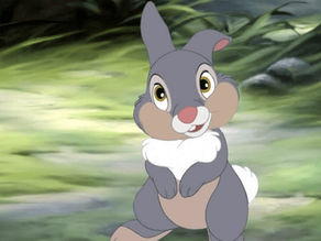 Rabbits in Culture: Their Symbolism in Films and Literature