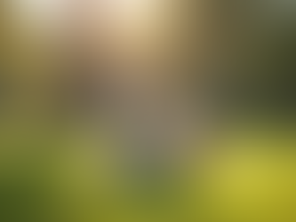 Enhancing Pet Behaviour with SitStay Initiatives