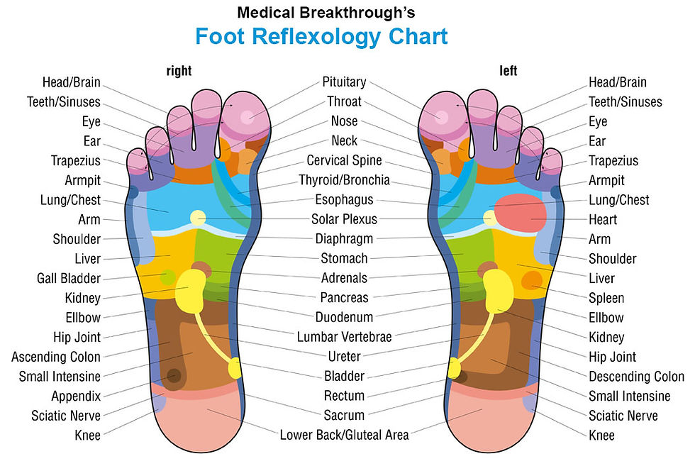 Miniatura: Medical Breakthrough's Podiatrist Version 2.0 Shoe Size 4-17