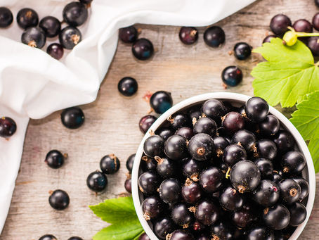 Benefits of Acai Berry, Squalane, and Aloe Vera in your Moisturizer