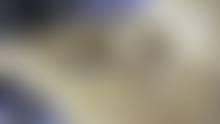 DLT RESOLUTION INC. SIGNS LETTER OF INTENT TO ACQUIRE EMERGING GOLD PRODUCTION COMPANY