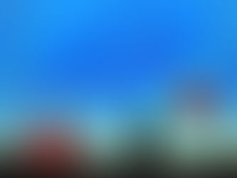 The impact of Corona on the tourism industry