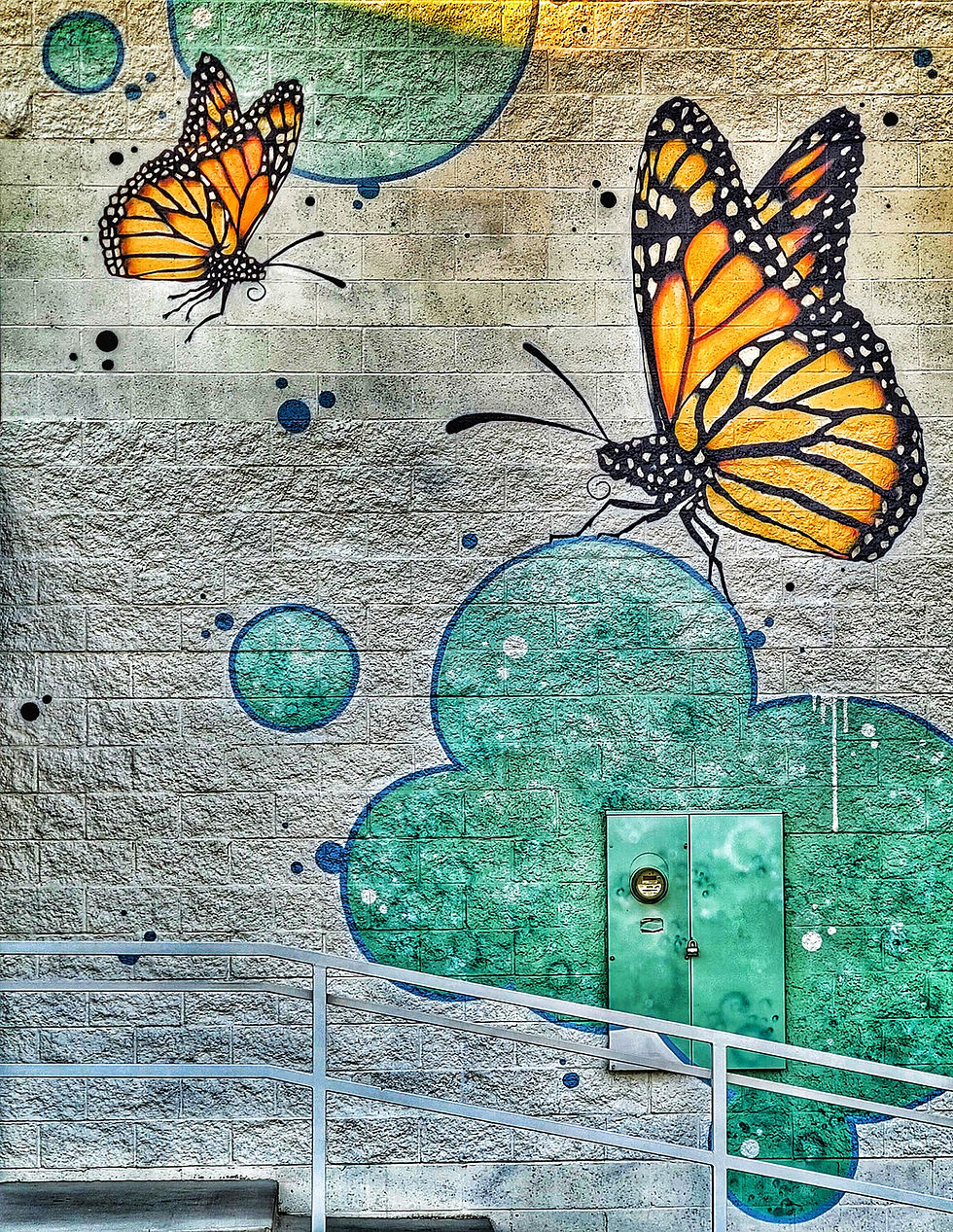Vegas Butterfly Mural