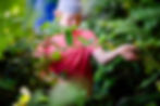 54705744017_01c9f2f575_o.jpg