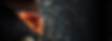 homepagebanner_firerocks.jpg