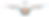 IS_Logo_weave1.png