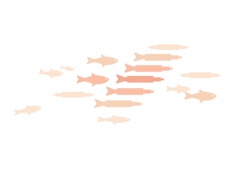 AA_VALUES_FISH.png