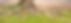 Roots of a tree and green grass with sunset sky background._edited.jpg