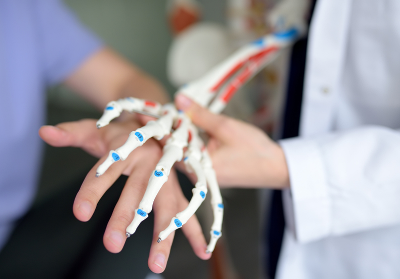 Integrated Care at HealU+: A Multidisciplinary Approach