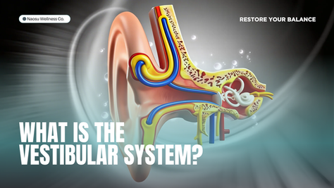 Restore Your Balance: How Vestibular Physiotherapy Can Help with Vertigo and Dizziness