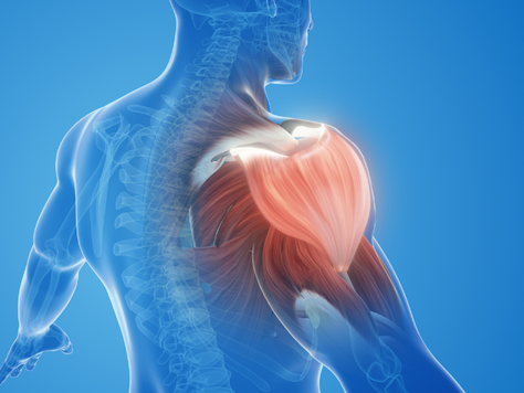 Frozen Shoulder (Adhesive Capsulitis): Causes, Symptoms, and the Most Effective Treatment Options