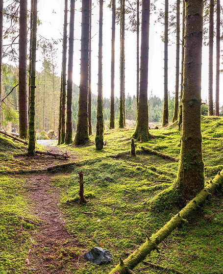 Skillfully navigating life's paths