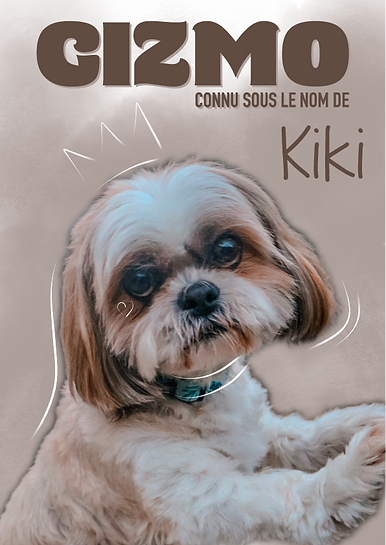 AFFICHE PERSONNALISÉE ANIMAUX