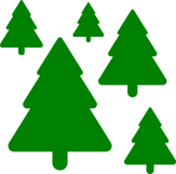 бор (зеленый).png
