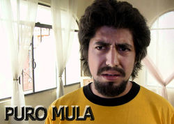 PURO MULA