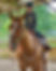 Screenshot_20220302-150204_Gallery.jpg
