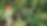 364815820_257040907124275_3062811293044900969_n_edited.png