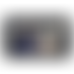 RORAIMA 2030 ULTRAPASSA FRONTEIRAS.