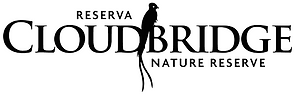 Cloudbridge logo.png