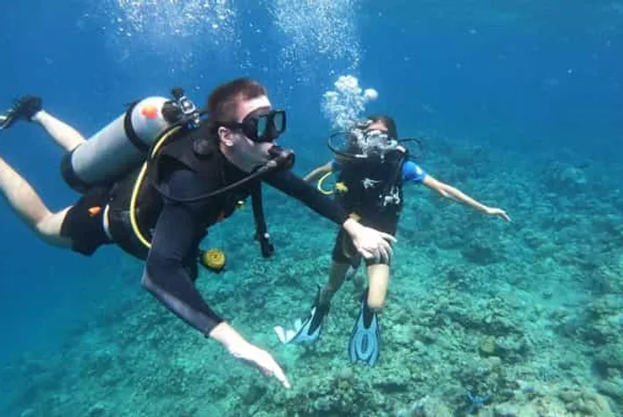 Menjangan diving tour