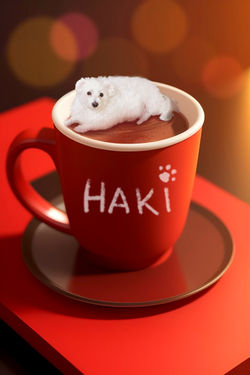 Cocoa with Cream