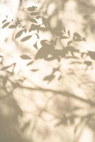 Photographic Print_ Green Leaf Background, Nature Background Concept by Eakarat Buanoi _ 1