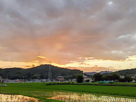 夕景20200714