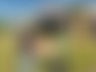 A Instituição recebeu doação de alimentos dos caminhoneiros