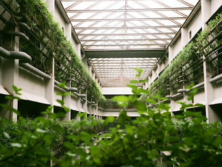 Le Building Performance Monitoring façonne l’avenir des bâtiments durables